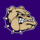 Queen Creek Football Store